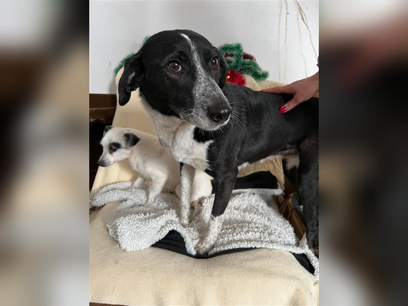 LIZA ❤ wartet in 93473 Arnschwang auf DICH