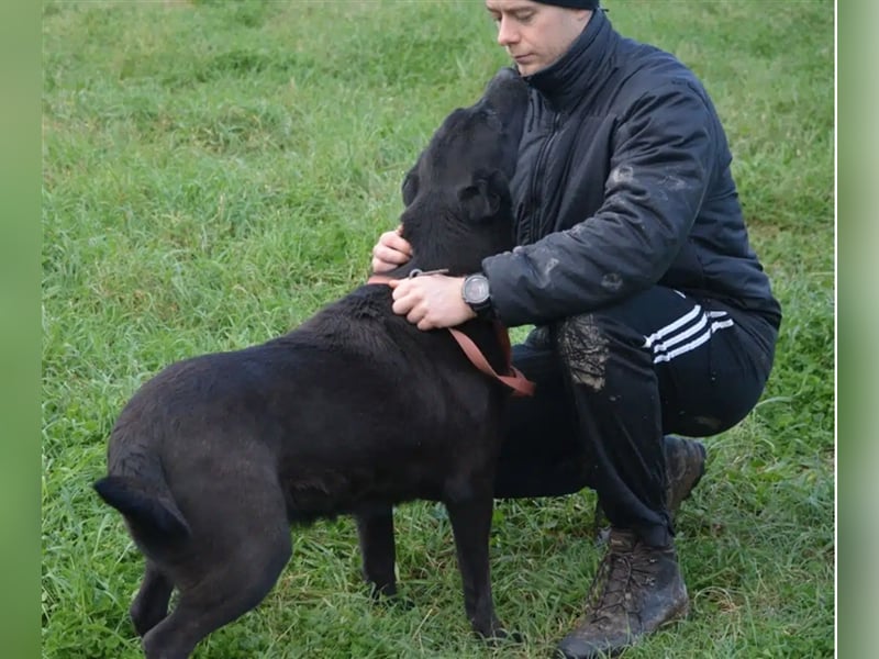 „Aiyla“, geb. ca. 09.2021/2022, sehr menschenbezogen, unheimlich lieb und treu, leidet sehr