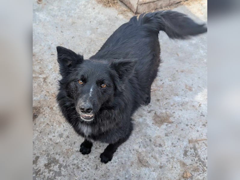 Holly - voller Hoffnung und Liebe