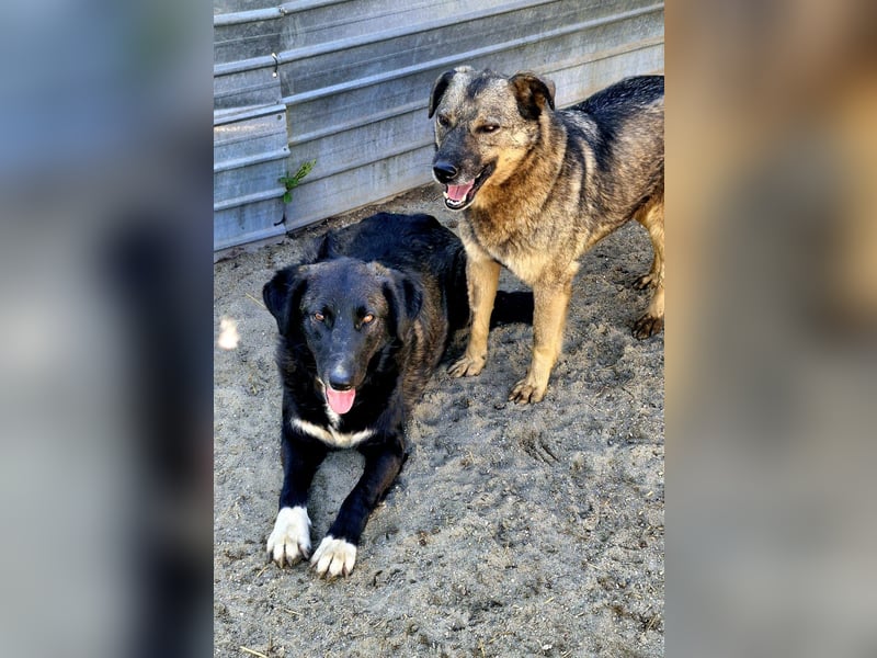 WAYONA - ca 55-60 cm wartet schon so lange auf Ihre Lieblingsmenschen