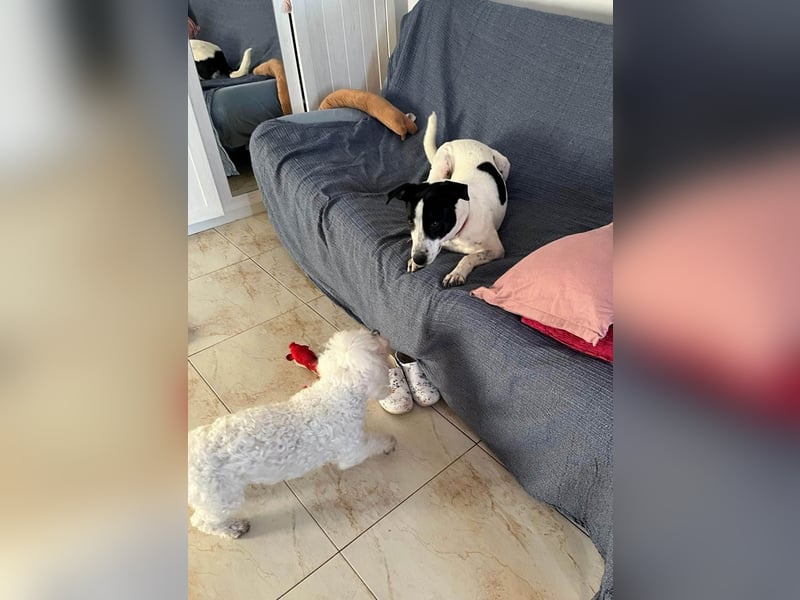 Hübsche Iris sucht liebe Familie