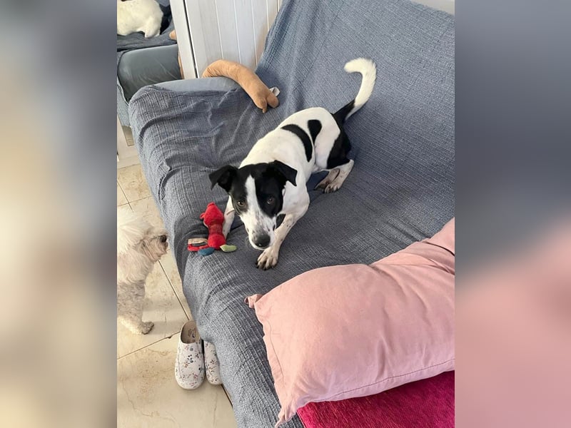 Hübsche Iris sucht liebe Familie