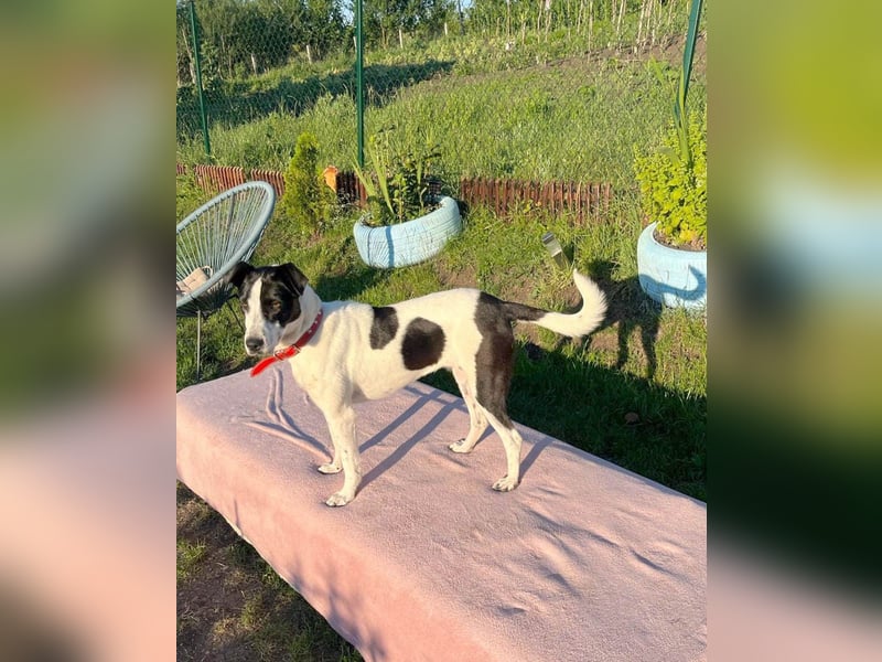 Hübsche Iris sucht liebe Familie