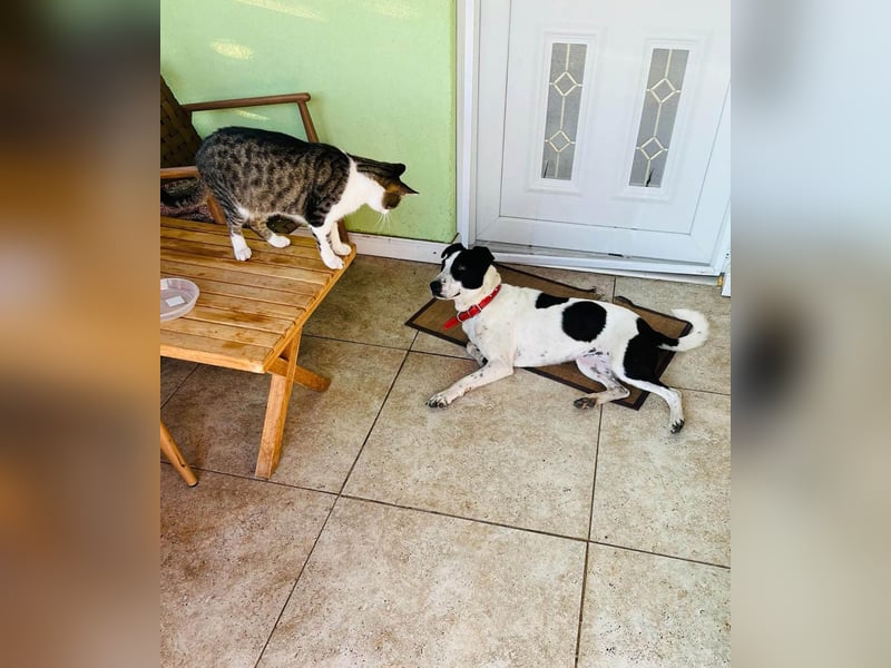 Hübsche Iris sucht liebe Familie