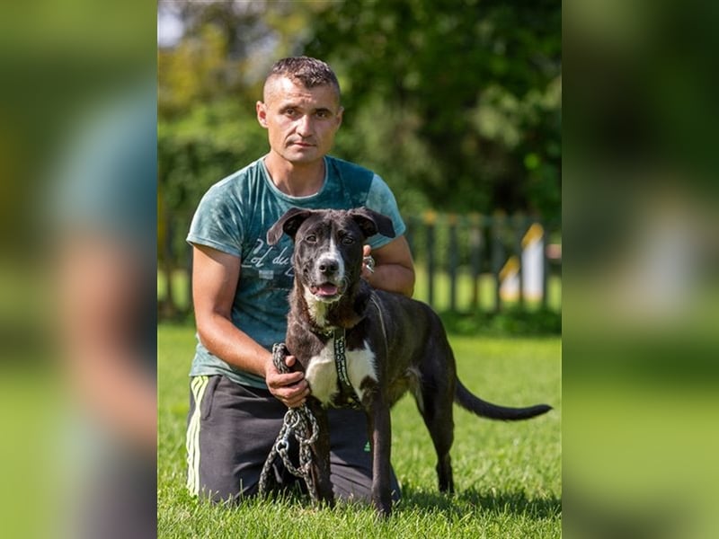 Loca - großartige Hündin sucht erfahrene Menschen