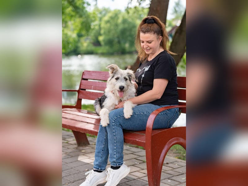 Verschmuste Lichi sucht ihre Menschen