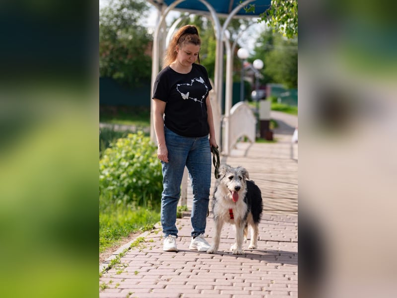 Verschmuste Lichi sucht ihre Menschen