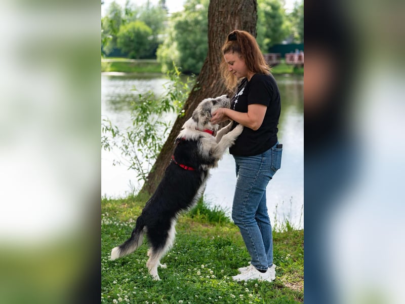 Verschmuste Lichi sucht ihre Menschen
