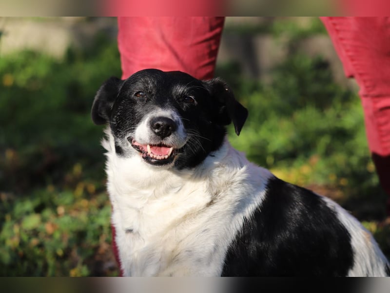 ZORKA - die kleine Maus sucht ein liebevolles, verantwortungsbewusstes Für-Immer Zuhause