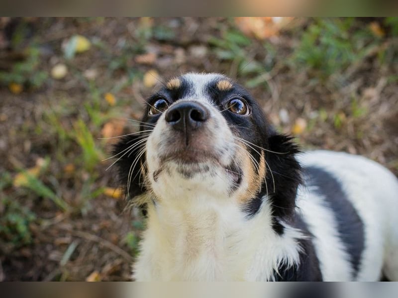 PENNY - Wer will mit mir spielen, lernen und schmusen?