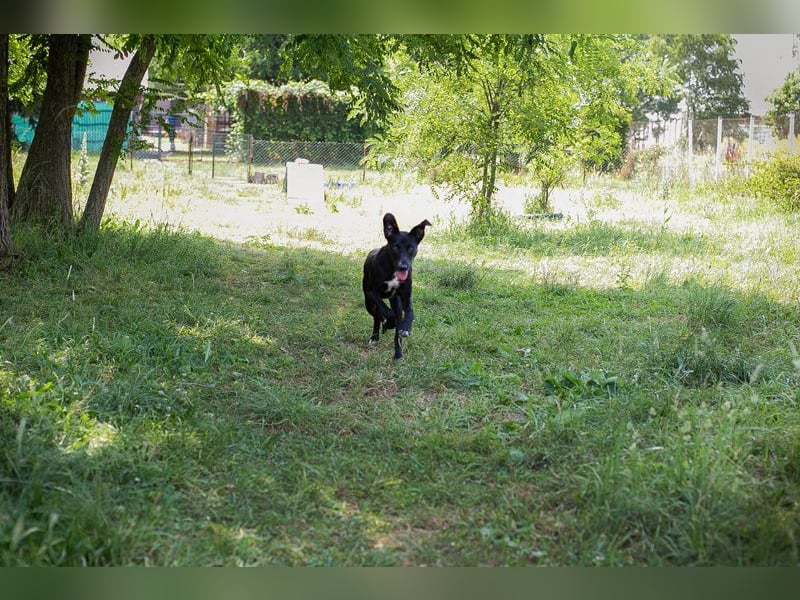 RAMIRA - die hübsche Maus freut sich auf tolle Abenteuer mit ihrer Familie.