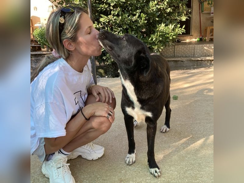 Nola sucht ein Zuhause