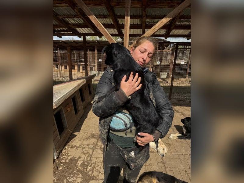 ♥BIBI♥ ab Ende Apr auf PS bei Köln -zuckersüße, liebe, schwarze kleine Maus mit weißen Pfötchen 33cm