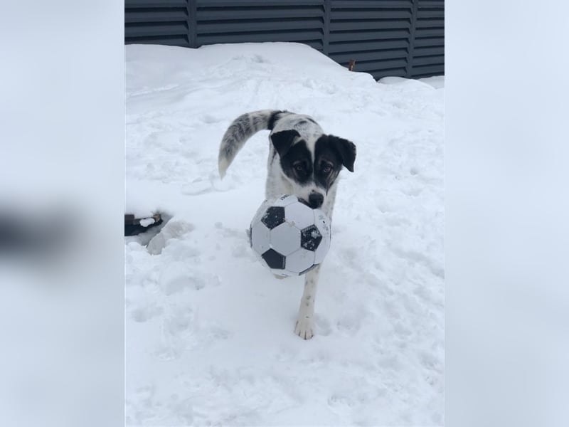 Suri ❤️ wartet auf ihr eigenes Happy End