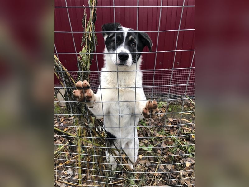 Suri ❤️ wartet auf ihr eigenes Happy End