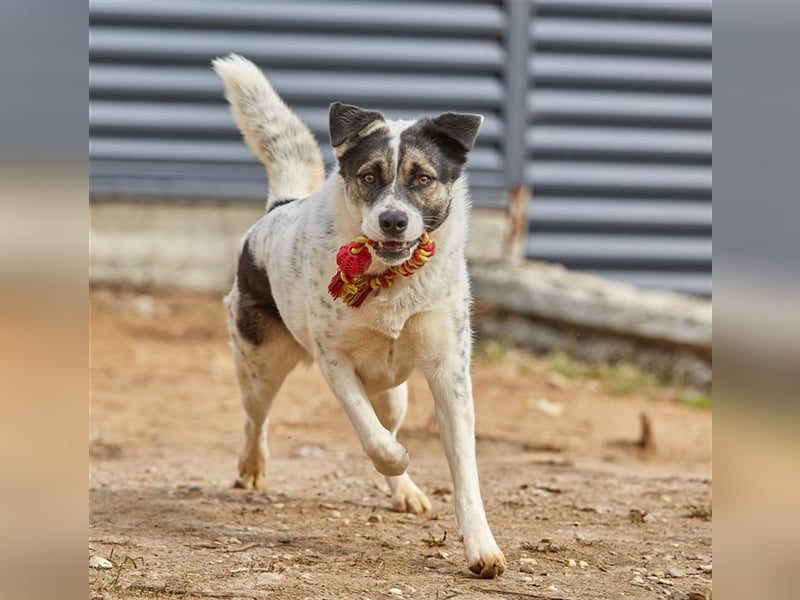 Suri ❤️ wartet auf ihr eigenes Happy End