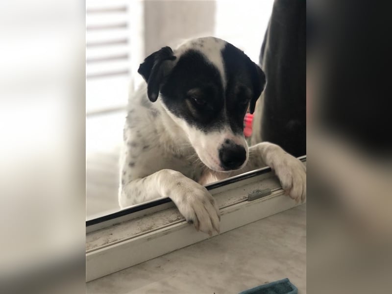 Suri ❤️ wartet auf ihr eigenes Happy End
