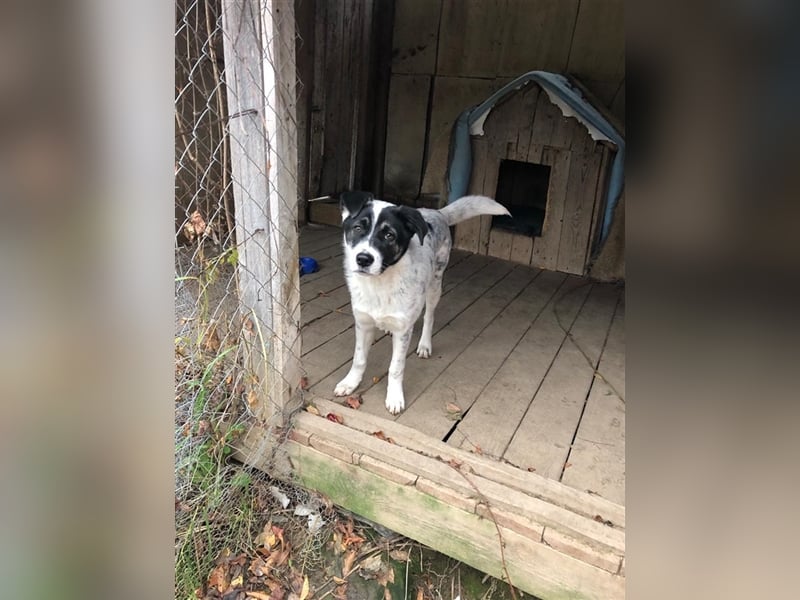 Suri ❤️ wartet auf ihr eigenes Happy End