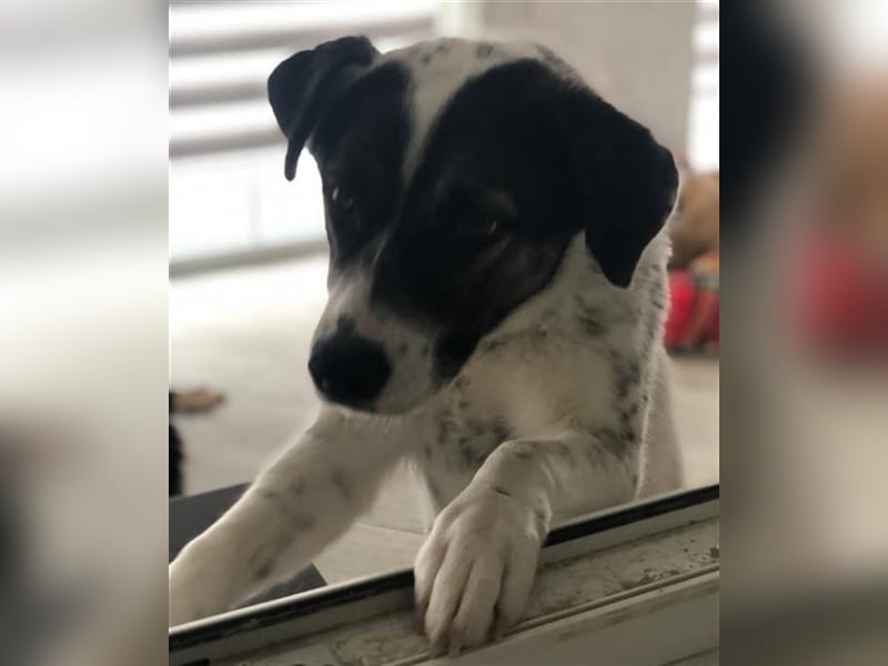 Suri ❤️ wartet auf ihr eigenes Happy End