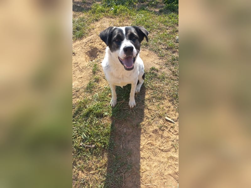 Suri ❤️ wartet auf ihr eigenes Happy End