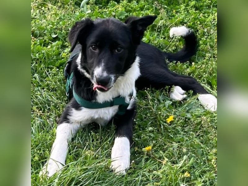 Herzensbrecherin Lena sucht ihre Familie ❤️