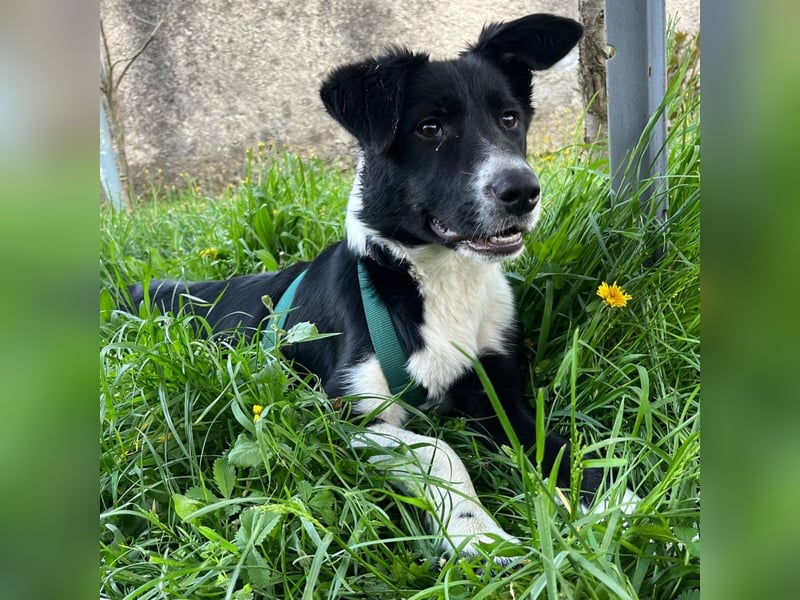 Herzensbrecherin Lena sucht ihre Familie ❤️