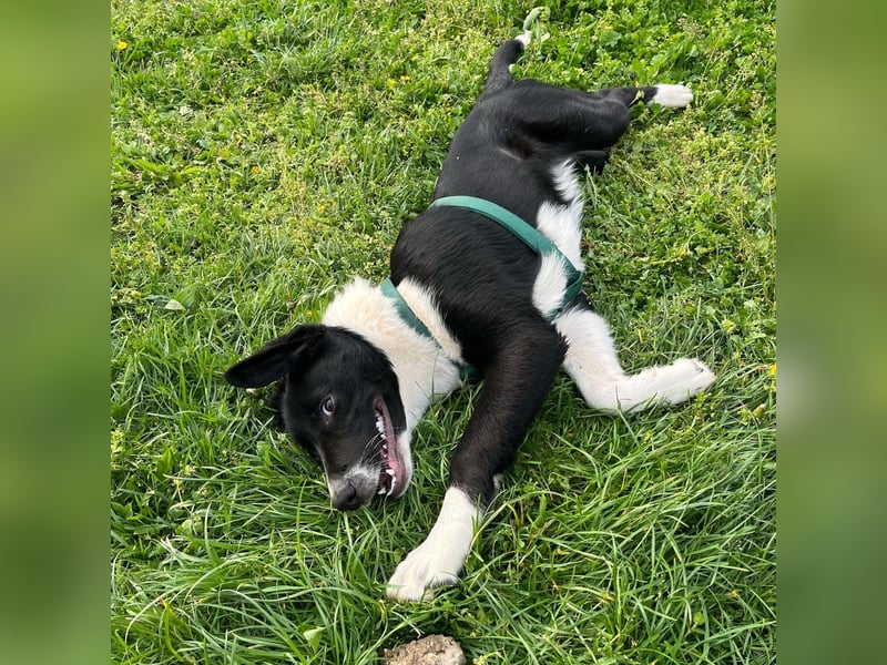 Herzensbrecherin Lena sucht ihre Familie ❤️
