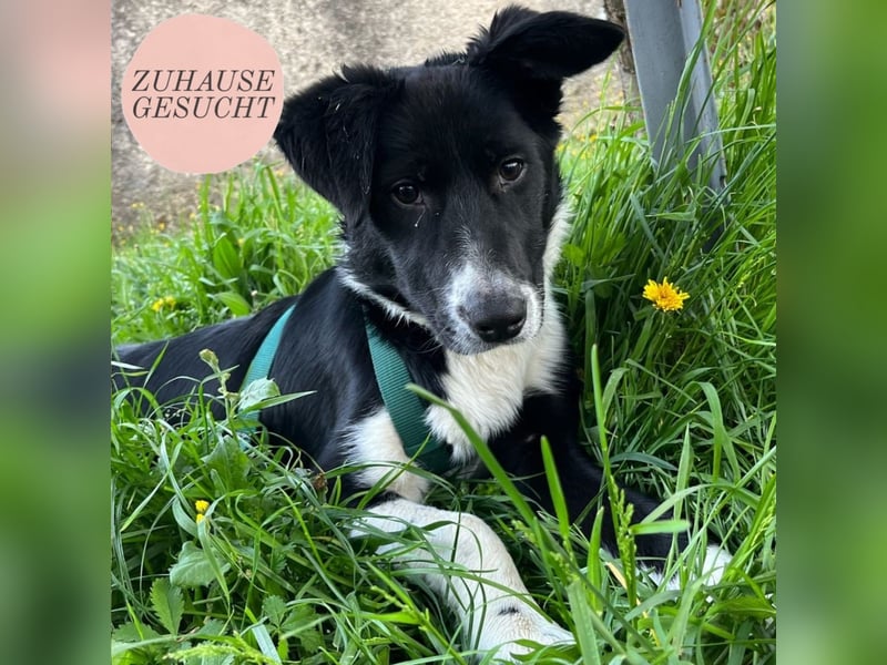 Herzensbrecherin Lena sucht ihre Familie ❤️