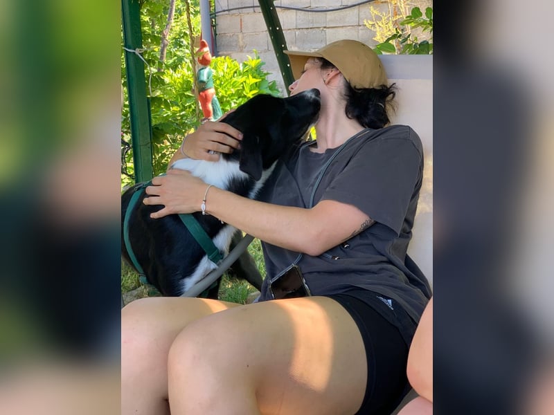 Schmusebacke Lana sucht ihre Familie ❤️