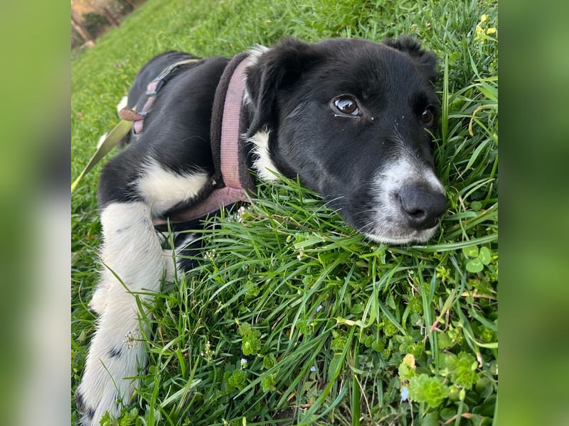 Herzensbrecherin Lena sucht ihre Familie ❤️