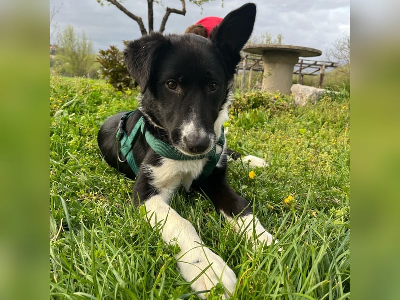 Herzensbrecherin Lena sucht ihre Familie ❤️