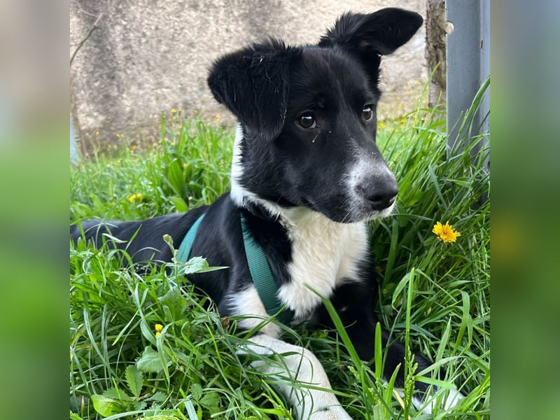 Herzensbrecherin Lena sucht ihre Familie ❤️