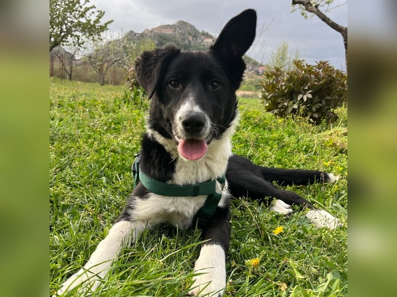 Herzensbrecherin Lena sucht ihre Familie ❤️