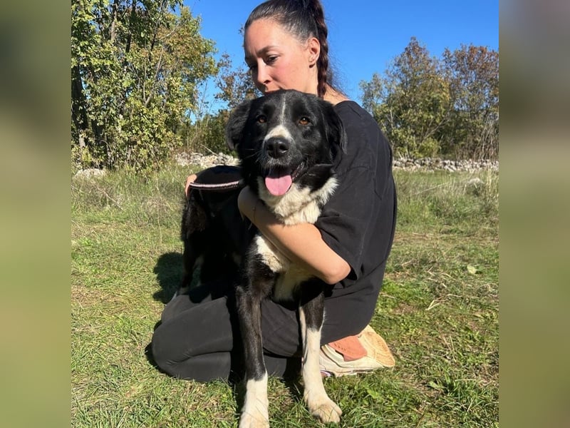 Sara – treue Seele sucht ein neues Zuhause ❤️
