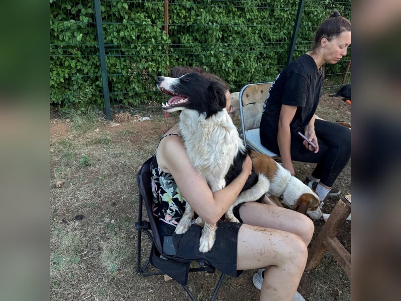 Zuckerschnute Moxy sucht ihre Familie ❤️