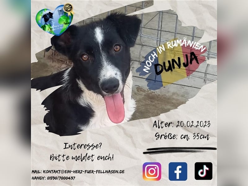 Unsere zauberhafte Dunja