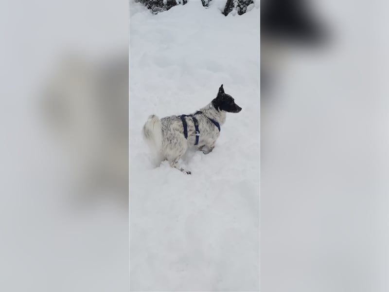 Unsere schöne Alice