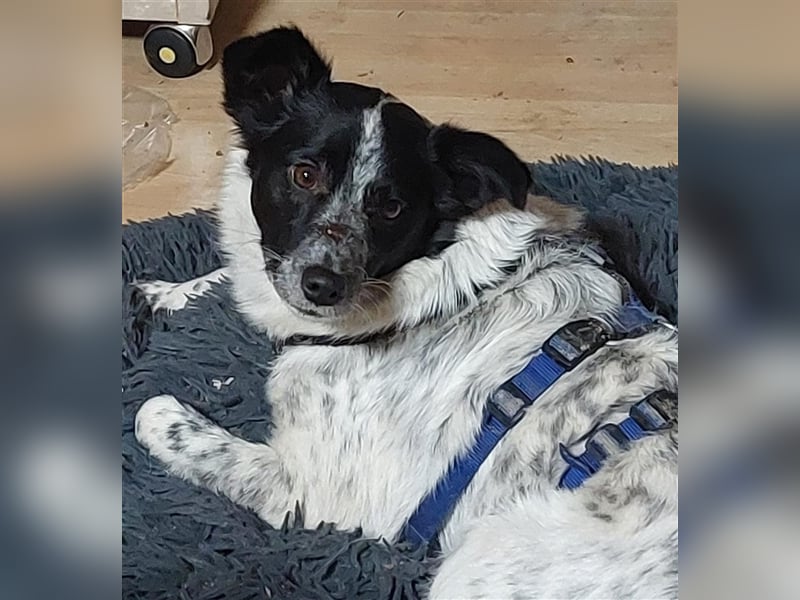 Unsere schöne Alice