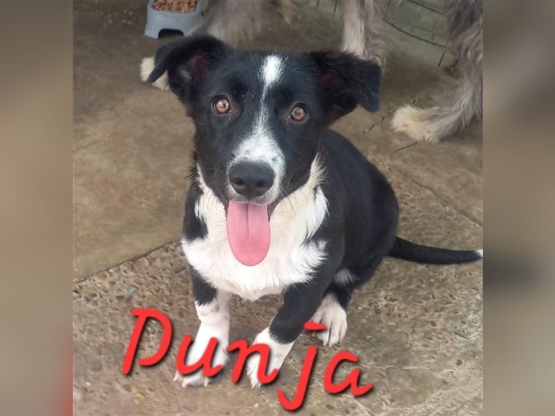 Unsere zauberhafte Dunja
