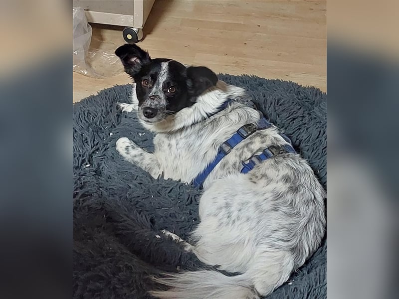 Unsere schöne Alice