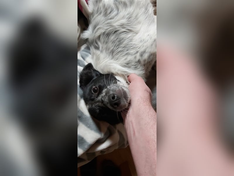 Unsere schöne Alice