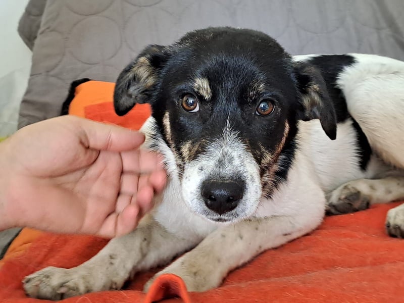 Bella kleiner Wirbelwind