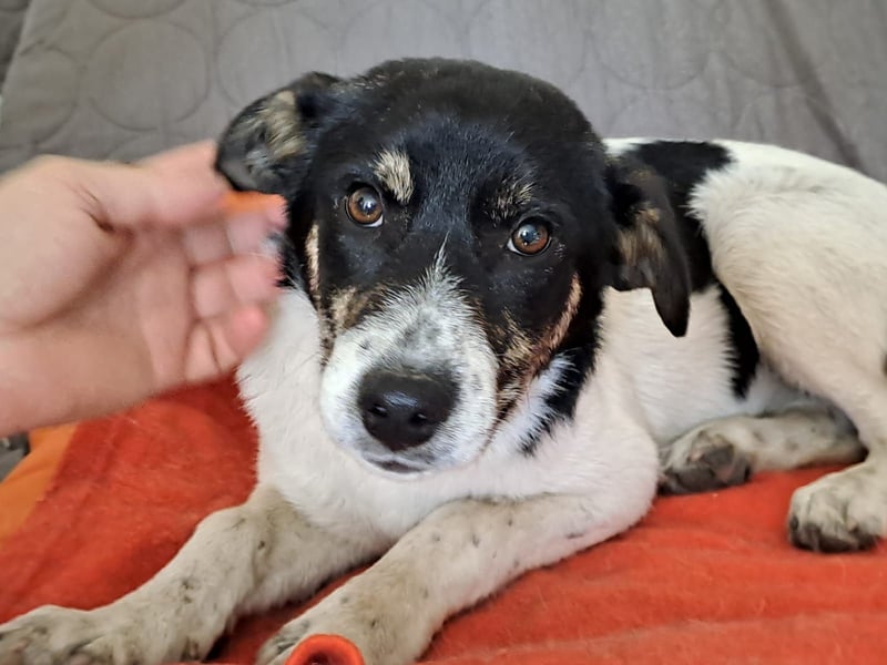 Bella kleiner Wirbelwind