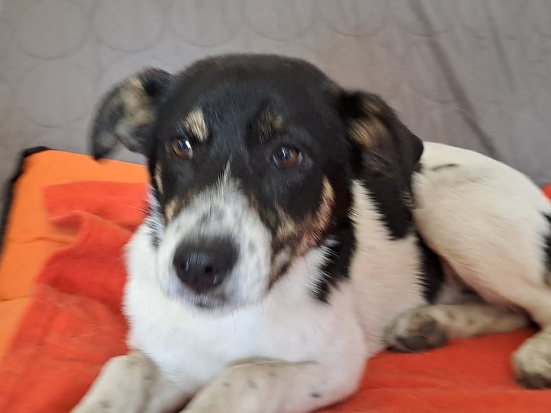 Bella kleiner Wirbelwind