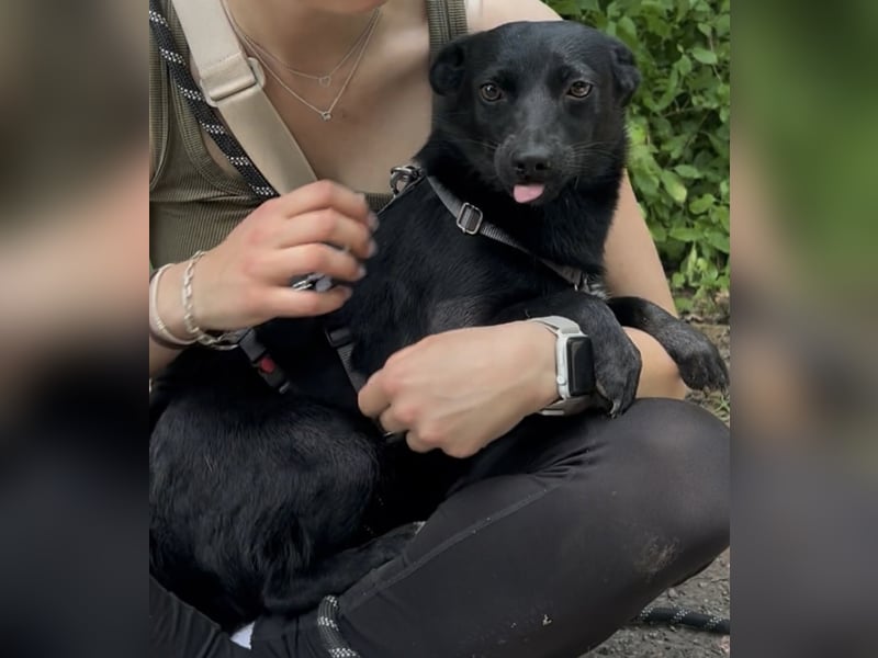 Liebe Naomi sucht ihr Für-Immer-Zuhause