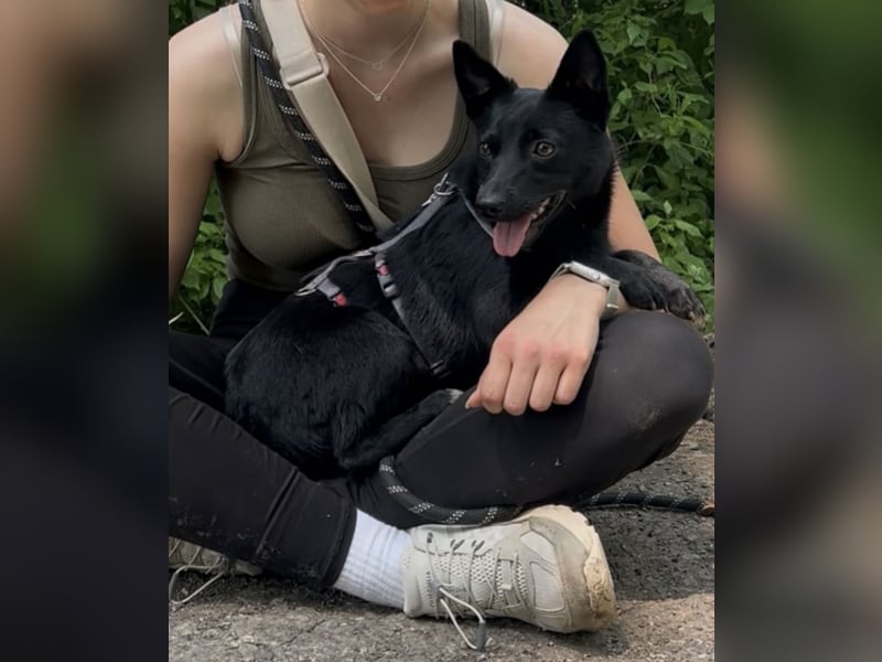 Liebe Naomi sucht ihr Für-Immer-Zuhause