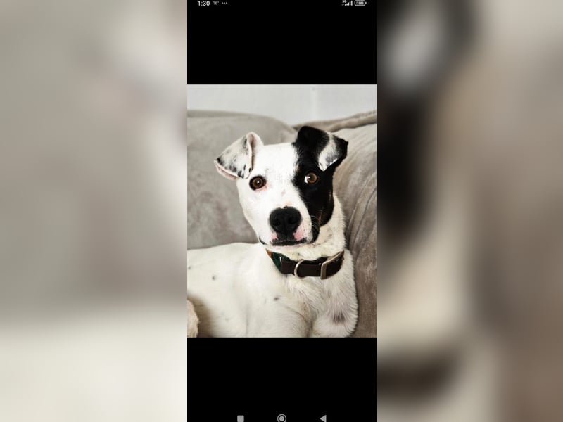 Ronja freut sich auf Deinen Besuch