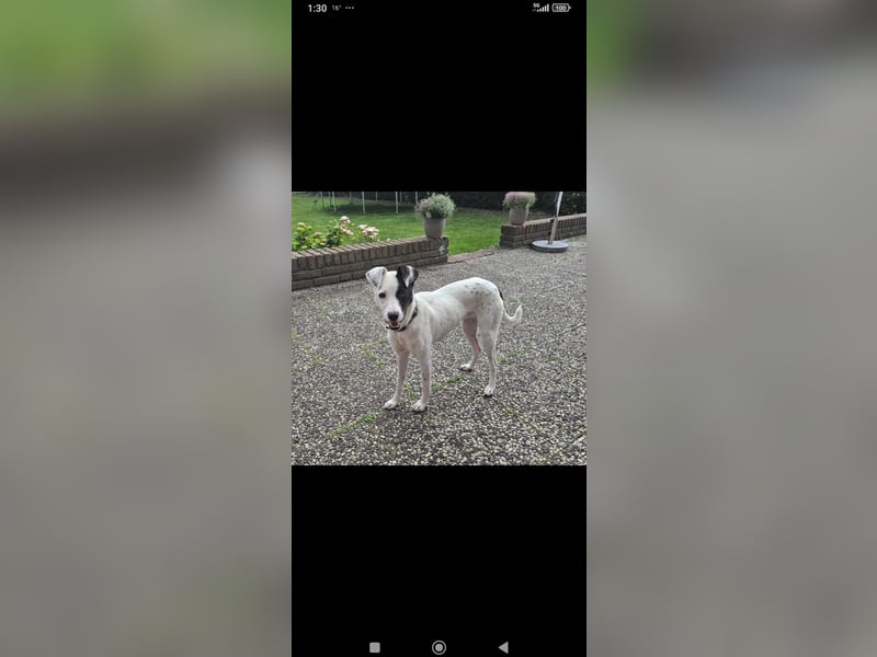 Ronja freut sich auf Deinen Besuch
