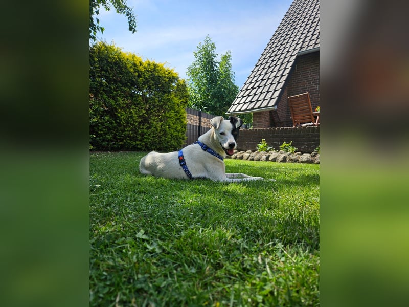 Ronja freut sich auf Deinen Besuch
