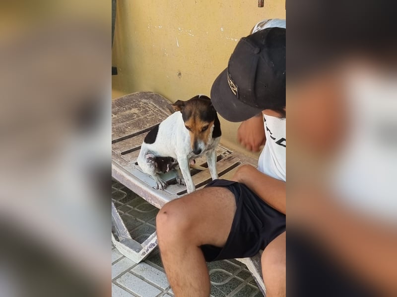 KIKA